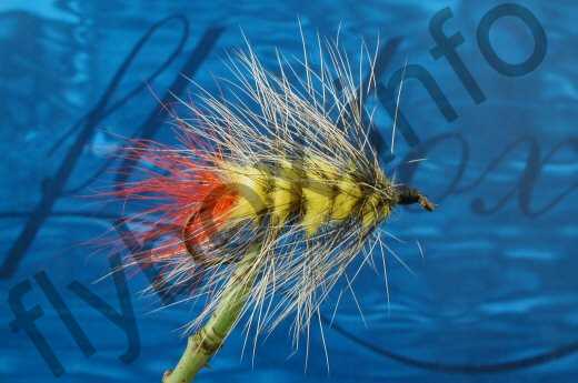 Fish4Flies Hairy Yellow Badger Woolly Worm